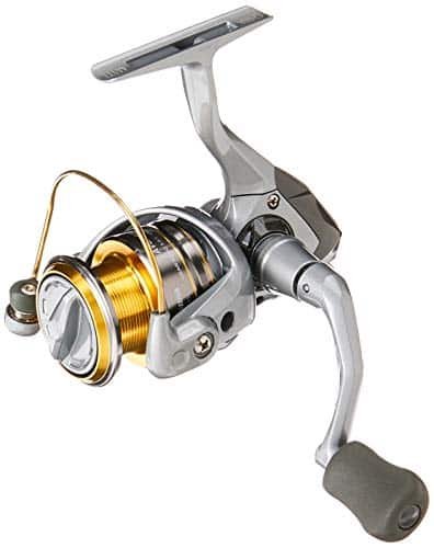 Best Reels for Trout Fishing