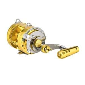 Best Reels for Tuna Fishing