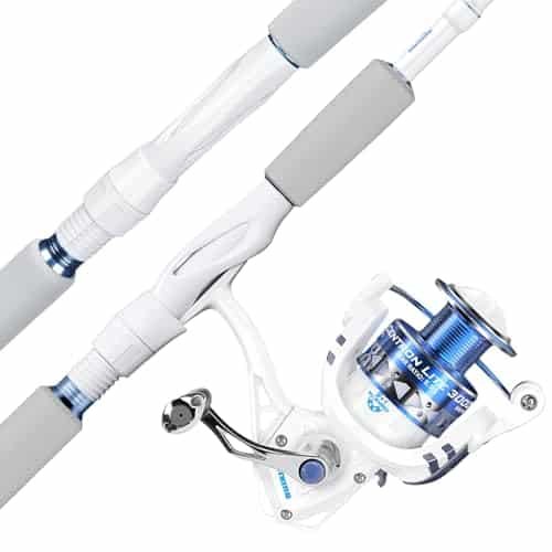 Best Rods And Reels for Saltwater Fishing