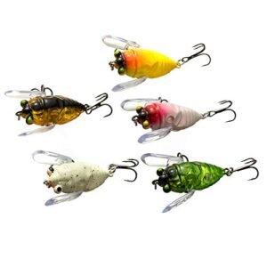 Best Topwater Lures for Bass Fishing