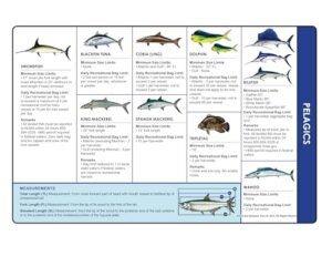 Destin Fishing Chart