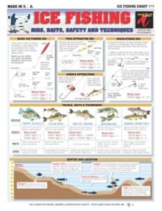 Fishing Lure Types Chart