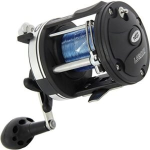 What is the Best Fishing Line for Spinning Reels